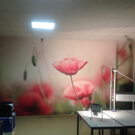 image de mur
